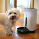 Arf Pets Automatic Pet Feeder